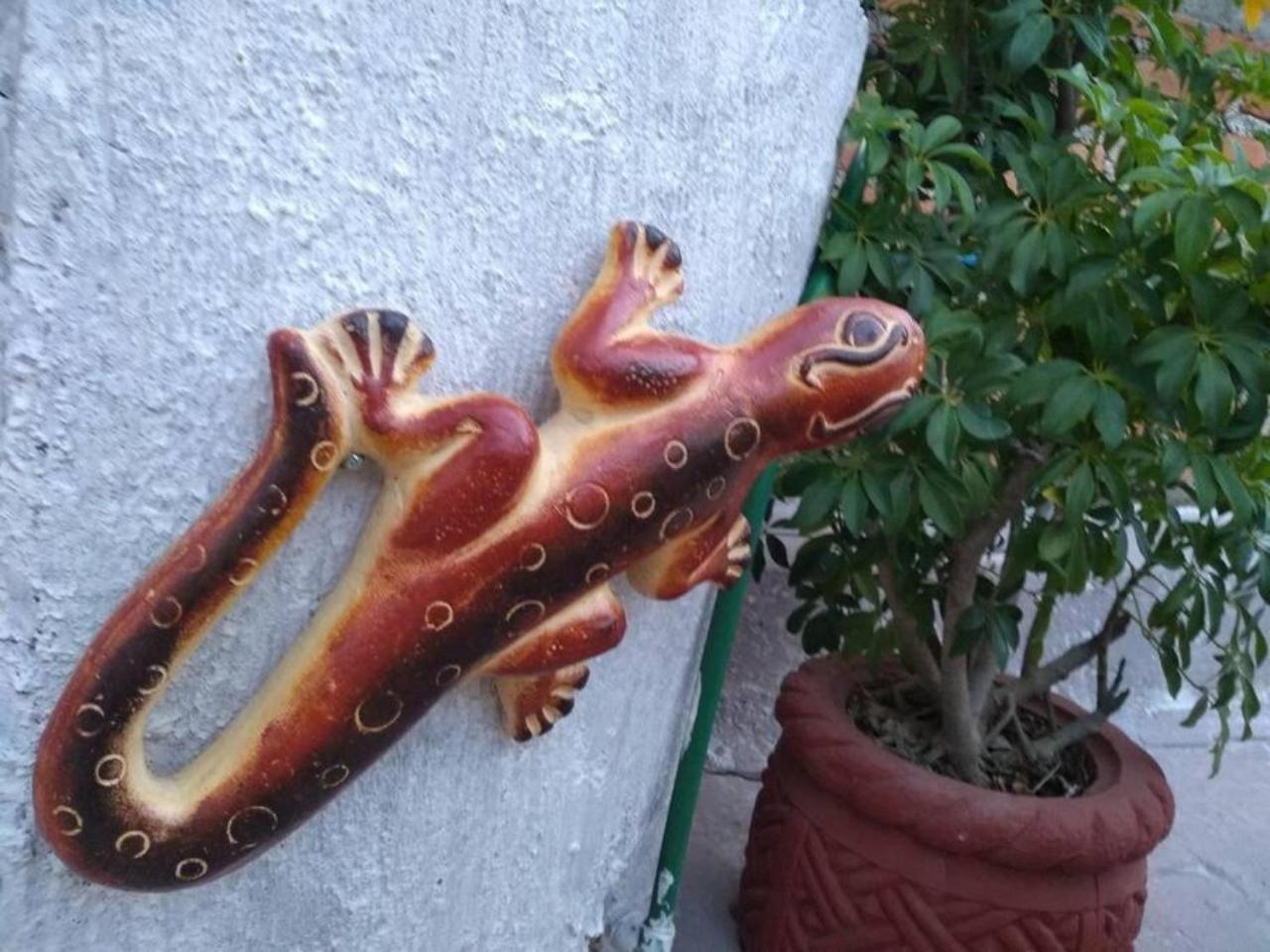 Casa Alebrijes Villa Tequila Buitenkant foto